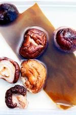 I Danmark har vi tangarten fingertang (Laminaria digitata), der er tæt beslægtet med den japanske kombu (Laminaria japonica), og som også kan bruges til at lave dashi med. Foto: Line Thit Klein