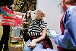 Langsomt. En kvinde, der arbejder på et plejehjem i Berlin, modtager en af de forholdsvis få vacciner, der indtil videre er givet i Tyskland. Foto: Pool/Ritzau Scanpix