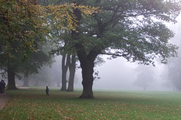 Foto: Lars Hansen/POLFOTO
