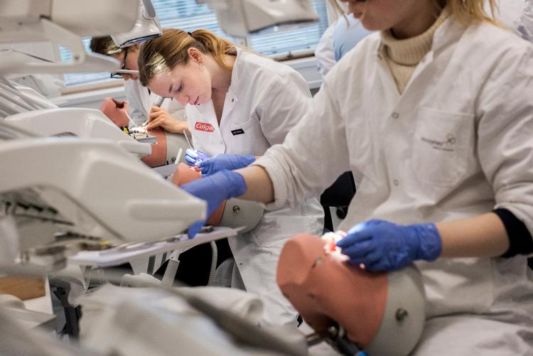 Modsat Tandlægeskolen (Institut for odontologi) på Aarhus Universitet, har Tandlægeskolen i København valgt ikke at gøre de skriftlige eksamener digitale, så de kan tages hjemmefra af de studerende.
Arkivfoto. Foto: Casper Dalhoff/POLFOTO