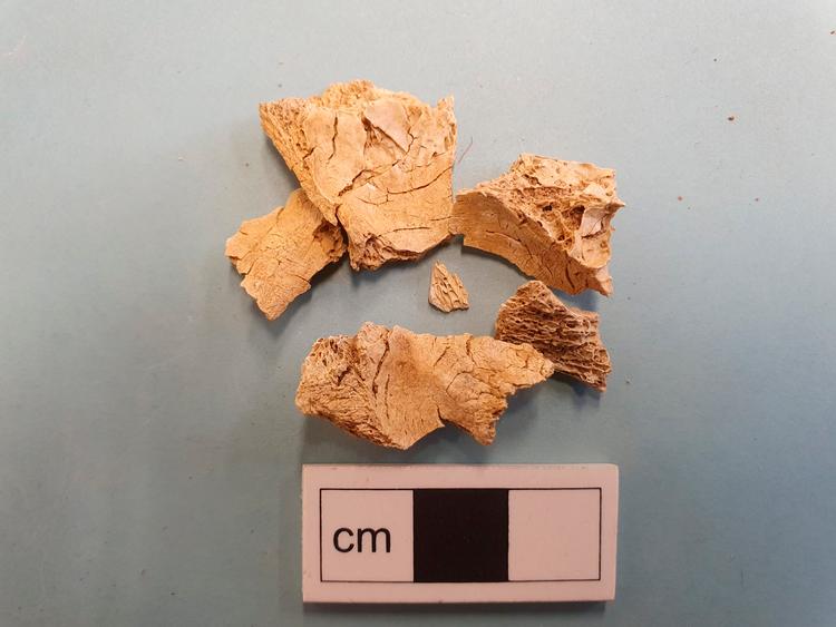 Foto: 10500 Dalarnas Museum/tt/Ritzau Scanpix