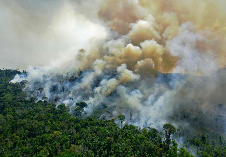 Flere steder på kloden blev der registreret voldsomme skovbrande som her i Amazonas. (arkivfoto) Foto: Carl De Souza/Ritzau Scanpix