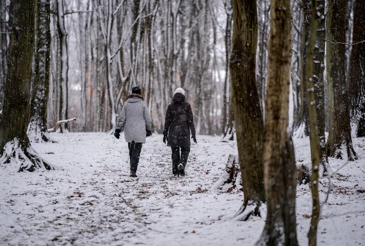 Foto: Liselotte Sabroe/Ritzau Scanpix