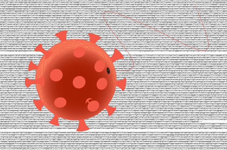 Det nordjyske forskerhold holder i tæt samarbejde med Statens Serum Institut øje med, hvad det er for nogle smitsomme virusvarianter, der cirkulerer i Danmark. I jagten på den britiske variant B117 leder de blandt andet efter et 't', som har skubbet et 'a' ud af den genetiske kode. Kan du finde mutationen? For du kigger lige nu på den autentiske kode af B117, som man lige nu frygter kan overtage smittebilledet i Danmark. 