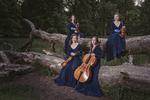 Vagn Holmboe brugte naturen, hvor Nightinggale String Quartet har placeret sig, når han skulle forklare, hvordan hans musik voksede organisk. Foto: Julia Severinsen