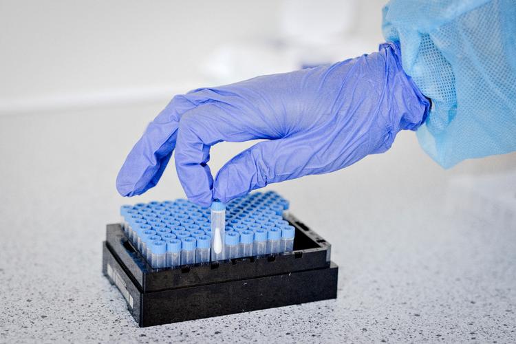 Foto: Valdemar Ren/POLFOTO