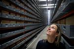 Der er blevet travlt i Rigsarkivet efter nytår. På billedet ses rigsarkivar Anne-Sofie Jensen i højlagermagasinerne på Kalvebod Brygge i København.  Foto: Jens Dresling/POLFOTO