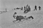  Vinterleg på de sneklædte bakker i Værebroparken ved Bagsværd i vinteren 1971.    Arkivf:oto Knud Jacobsen