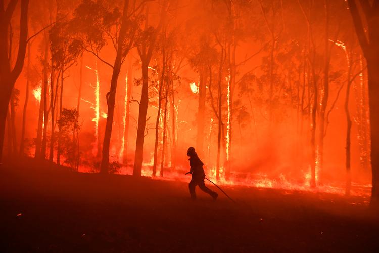 En australsk brandmand arbejder med at stoppe en skovbrand fra at brede sig til en nærliggende skole. Billedet er fra november 2019, da en langvarig tørke udløste en voldsom bølge af store brande i Australien.  Foto: Stringer/Ritzau Scanpix