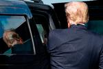 USA’s Senat er med anklageskriftet mod Donald Trump klar til at indlede endnu en rigsretssag mod ham. Foto: Alex Edelman/Ritzau Scanpix