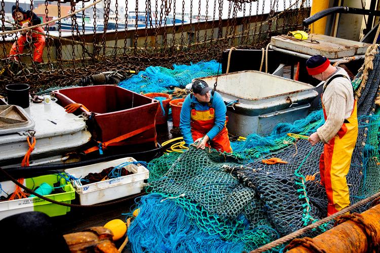 Foto: Finn Frandsen/POLFOTO