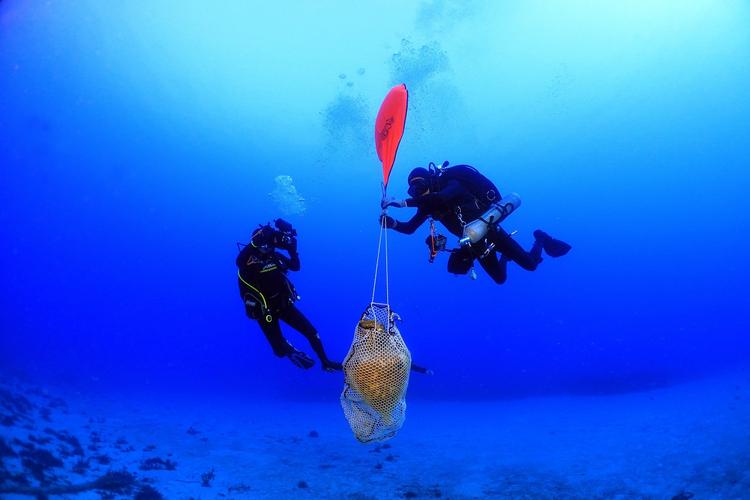 Foto: Nikos Koukoulas/kasos Maritime Archaeological Project/greek Ministry of Culture and Sports