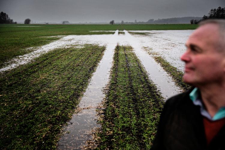 Lavbundsjord er våd og er typisk drænet til brug for landbrug. Fordi den er våd, er jorden fyldt med kulstof fra gamle planterester, og derfor udvikler det meget CO2. En af de bønder, der har lavbundsjorder, er Lars Vig Palle fra Tølløse. Foto: Martin Lehmann
