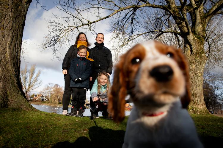 I Hvidovre, hvor familien Wejlgaard bor, er der både en sø og en hundeskov, hvor familien allerede nu møder mange flere mennesker end før. Det er som en klub, man kommer ind i, når man får hund, fortæller de. Foto: Mads Nissen/POLFOTO