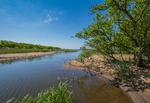 Skjern Å munder ud i Ringkøbing Fjord og skaber et floddelta. Stort naturområde, der er velegnet som naturnationalpark Foto: Rune Engelbreth Larsen Foto 