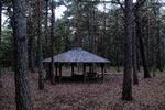 En 28-årig mand med tanzaniansk-dansk baggrund blev slået ihjel ved en shelterplads i Nordskoven, Bornholm. To brødre er sigtet. Er der tale om racisme? Blomster ved gerningsstedet, bålhytte, shelterplads. Foto: Mikkel Hørlyck/POLFOTO