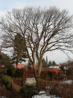 Privatfoto 