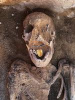 Foto: -/Ritzau Scanpix