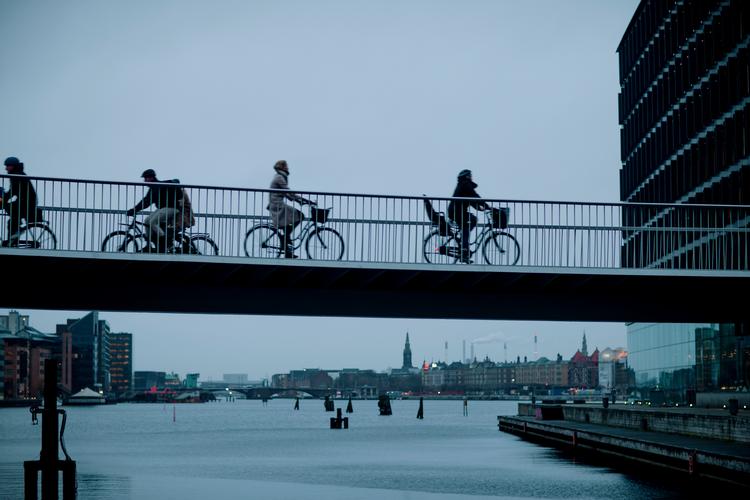 I et nyt projekt vil 'Miljøpunkt Amager' med hjælp fra lokale designe to byrum, der skærmer Amagers beboere for luftforurening.  Foto: Miriam Dalsgaard/POLFOTO