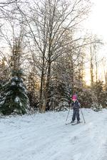 Corona og lukkede grænser lokker rekordmange skiglade danskere til langrendsspor i de sjællandske skove og på golfbaner. 