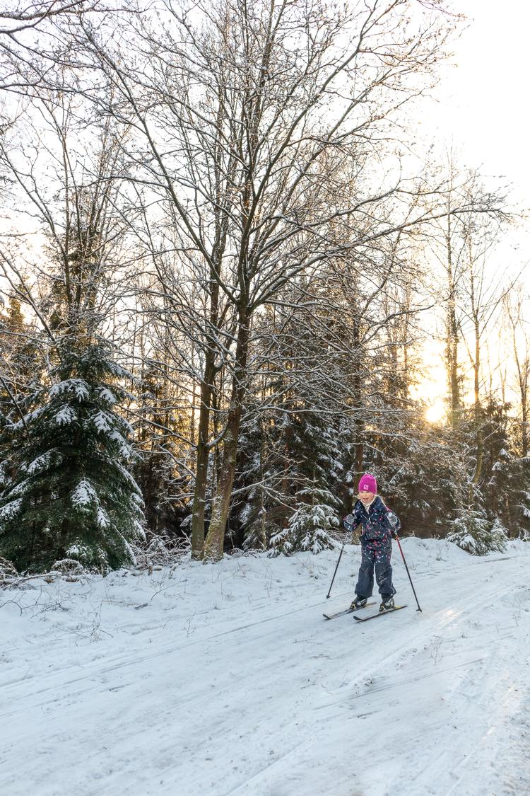 Corona og lukkede grænser lokker rekordmange skiglade danskere til langrendsspor i de sjællandske skove og på golfbaner. 