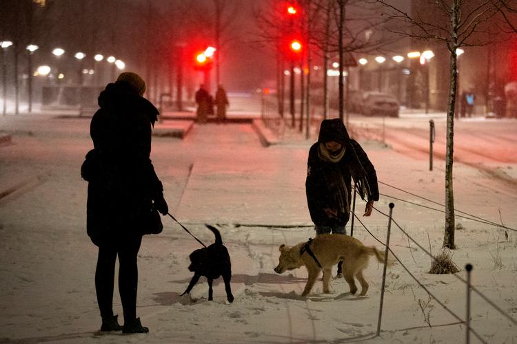 I mit næste liv vil jeg være slædehund i Siriuspatruljen, sagde den ene hund til den anden, da de mandag aften endelig havde fået lokket deres ejere med ud i snevejret på Sønder Boulevard i København. Foto: Finn Frandsen/POLFOTO