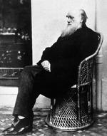 Dokumentaren retter en skarp kritik mod Charles Darwin, hvis evolutionsteori også blev brugt til videnskabelig racisme og læren om eugenik.  Foto: Anonymous/Ritzau Scanpix