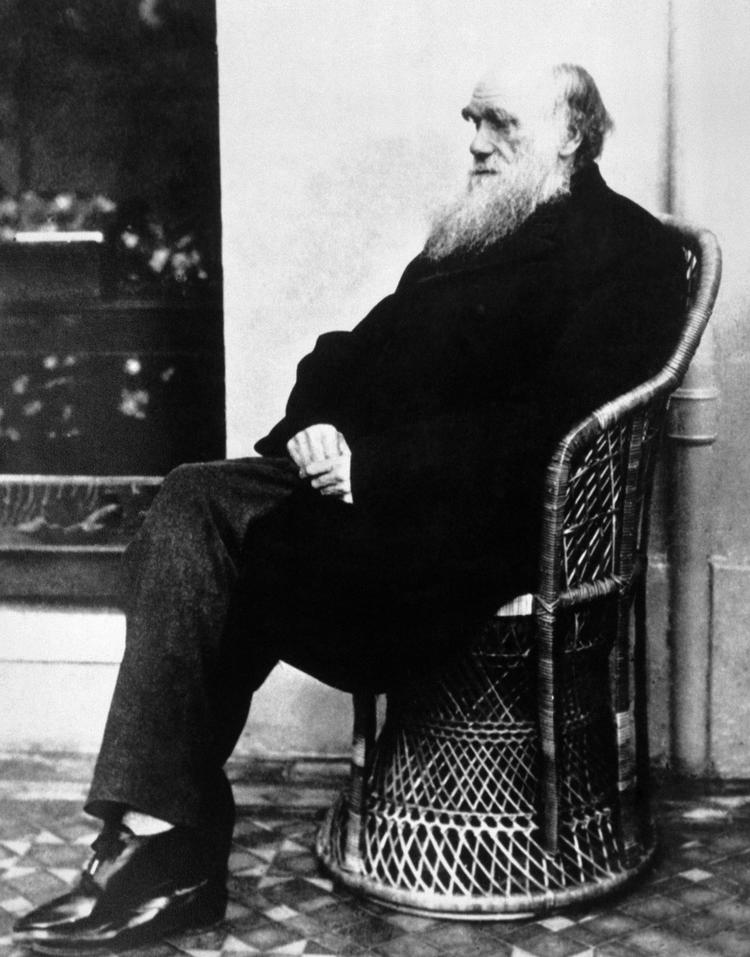 Dokumentaren retter en skarp kritik mod Charles Darwin, hvis evolutionsteori også blev brugt til videnskabelig racisme og læren om eugenik.  Foto: Anonymous/Ritzau Scanpix