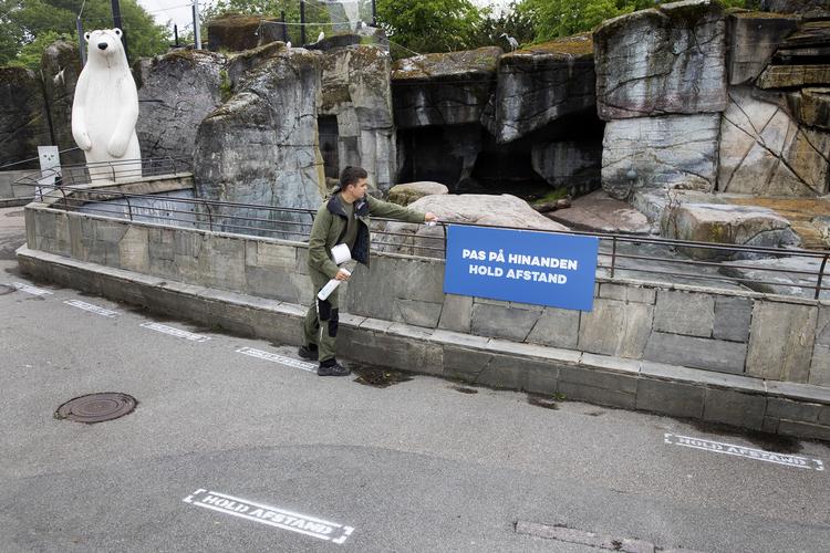  Zoologisk Have i København er lukket ligesom næsten alt andet. Nu er en større genåbningsplan på trapperne. (arkivfoto) Foto: Finn Frandsen/POLFOTO