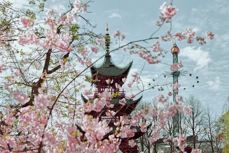 Tårnet i Tivoli blev opført i 1900 og fik i folkemunde navnet 'Det Kinesiske Taarn', selv om byggestilen retteligt er mere japansk. Efter en større ombygning i 2010 blev tårnet både renoveret og omdøbt. Pr-foto Tivoli
