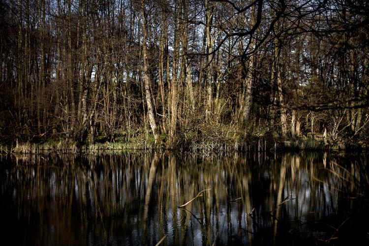 Foto: Peter Klint/POLFOTO