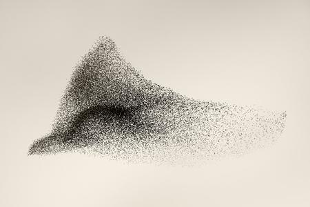 Et af fotografierne fra serien ’Black Sun’. Foto: Søren Solkær