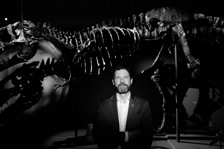 Peter C. Kjærgaard fra Statens Naturhistoriske Museum er her fotograferet foran det 66 millioner år gamle skelet af Tristan Otto, dinosaurernes konge. Foto: Peter Hove Olesen/POLFOTO