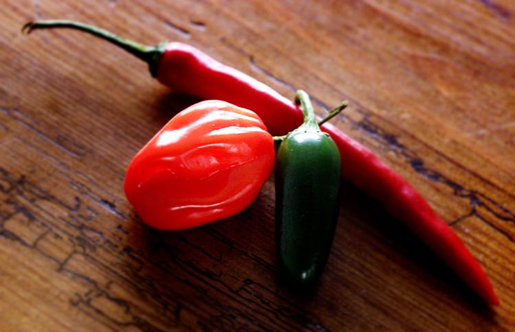 SPICE IT UP!  Kontrast i tekstur, temperatur eller et ordentligt 'spark' fra noget stærkt som chili er nogle af måderne, man kan gøre måltider sjovere for mennesker med smags- og lugtetab.  Foto: Kåre Viemose/POLFOTO