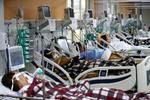 Skadestuen på Nossa Senhora de Conceicao-hospitalet i Porto Alegre er overfyldt med patienter med covid-19. Foto: Diego Vara/Ritzau Scanpix