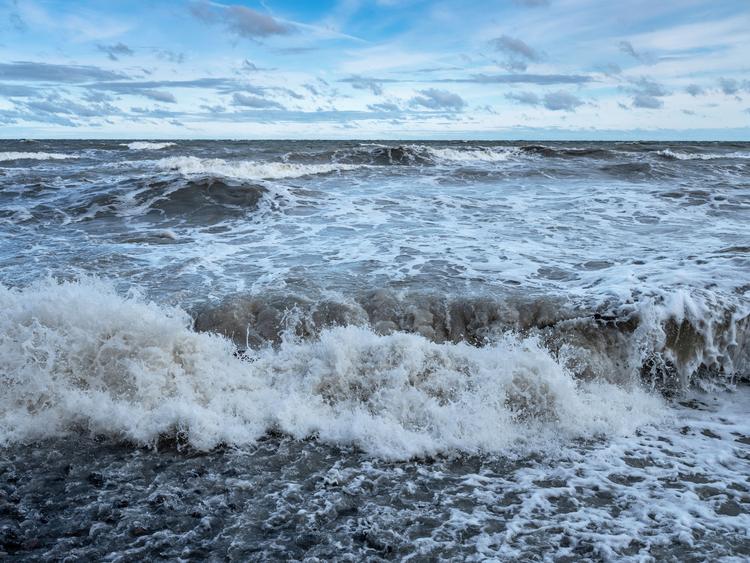 To ministre får onsdag et forslag til, hvordan andelen af urørt hav i danske farvande kan mangedobles. Foto: Per Rasmussen