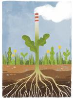 Illustrationer Sofie Kampmark