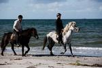 Læsø er med i øpasset og især kendt for sine karakteristiske tangtage, saltsyderi og fiskeri af navnlig jomfruhummer, men en ridetur på stranden er også en stor attraktion. Foto: Per Folkver/POLFOTO