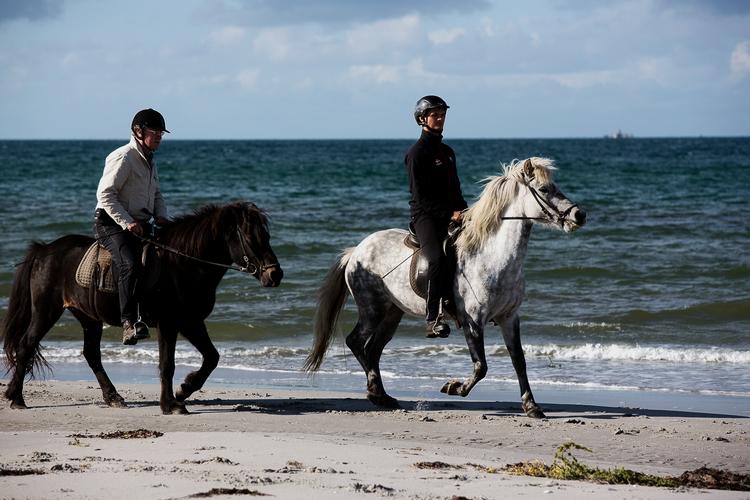 Læsø er med i øpasset og især kendt for sine karakteristiske tangtage, saltsyderi og fiskeri af navnlig jomfruhummer, men en ridetur på stranden er også en stor attraktion. Foto: Per Folkver/POLFOTO