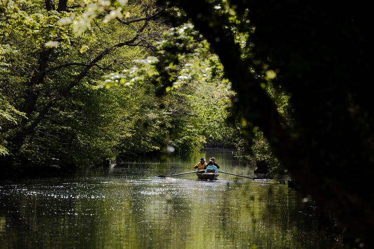 Foto: Andreas Merrald/POLFOTO