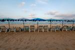 Phuket er normalt overrendt af turister, men under pandemien står strandstolene tomme, og sandet er overtaget af læderskildpadder.   Foto: Soe Zeya Tun/Ritzau Scanpix