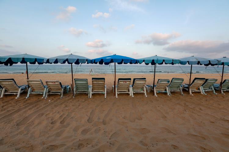 Phuket er normalt overrendt af turister, men under pandemien står strandstolene tomme, og sandet er overtaget af læderskildpadder.   Foto: Soe Zeya Tun/Ritzau Scanpix
