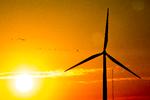 Statsminister Mette Frederiksen skal bl.a. fortælle om Danmarks erfaringer med havvindmøller, fjernvarme og energieffektivitet på klimatopmødet i april. Foto: Janus Engel/POLFOTO