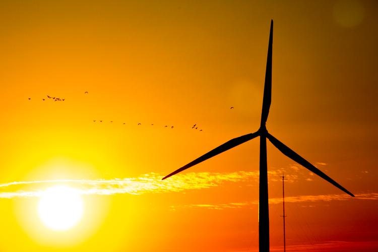 Statsminister Mette Frederiksen skal bl.a. fortælle om Danmarks erfaringer med havvindmøller, fjernvarme og energieffektivitet på klimatopmødet i april. Foto: Janus Engel/POLFOTO