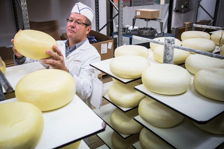  Leif Friis Jørgensen er direktør for de to økologiske mejerier Naturmælk og Øllingegaard. Foto: Casper Dalhoff/POLFOTO