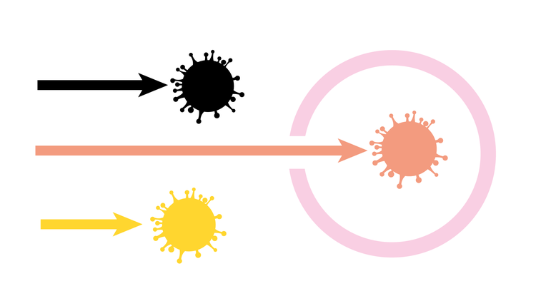 CoronaDenBritiskeVariant-topillu