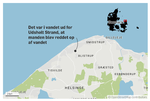 Udsholt