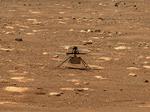 Helikopteren 'Ingenuitys' første tur må vente lidt endnu. Foto: Handout/Ritzau Scanpix