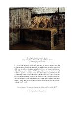 Taryn Simon har brugt år på research til hvert af sine værker, der består af et enkelt fotografi koblet sammen med en tilhørende tekst. Foto: Taryn Simon - An American Index of the Hidden and Unfamiliar 