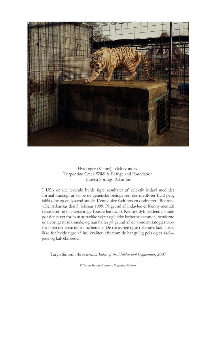 Taryn Simon har brugt år på research til hvert af sine værker, der består af et enkelt fotografi koblet sammen med en tilhørende tekst. Foto: Taryn Simon - An American Index of the Hidden and Unfamiliar 